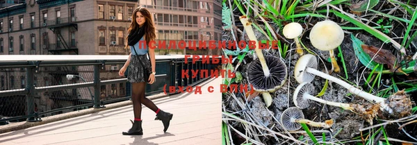 прущие крисы Абаза